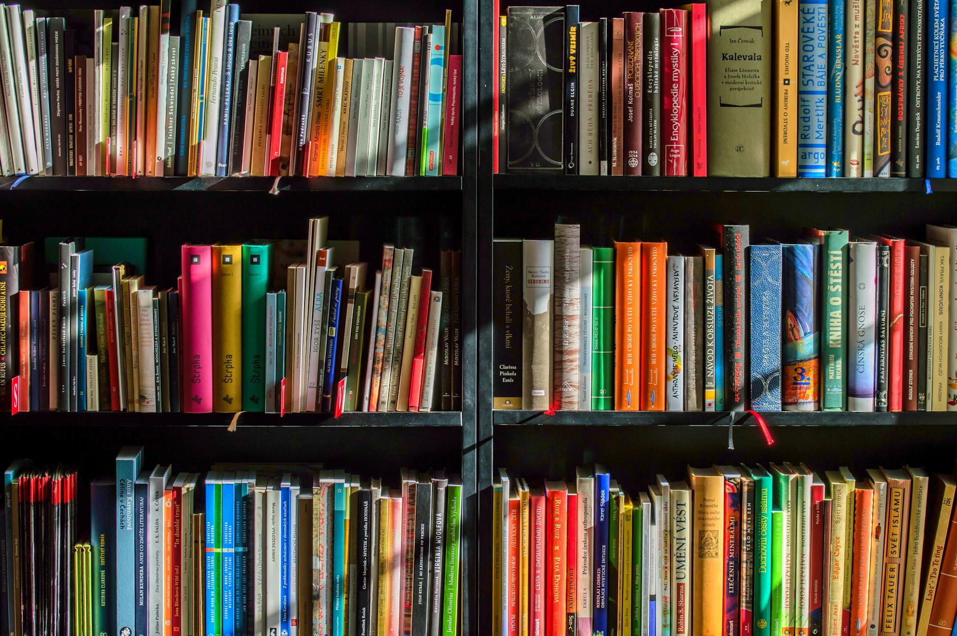 Cap Puckhaber | What I'm Currently Reading